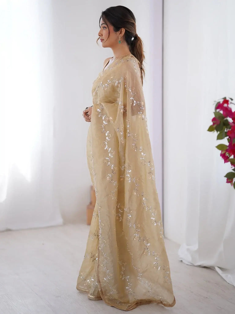 Gorgeous Beige Organza Beads Work Saree With Blouse - Ethnic Plus In