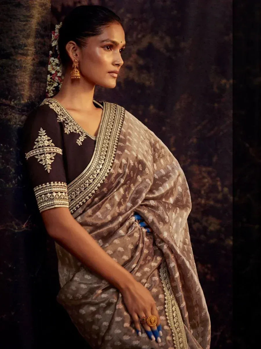 Elegant brown saree with gold embroidery, paired with matching blouse and traditional jewelry