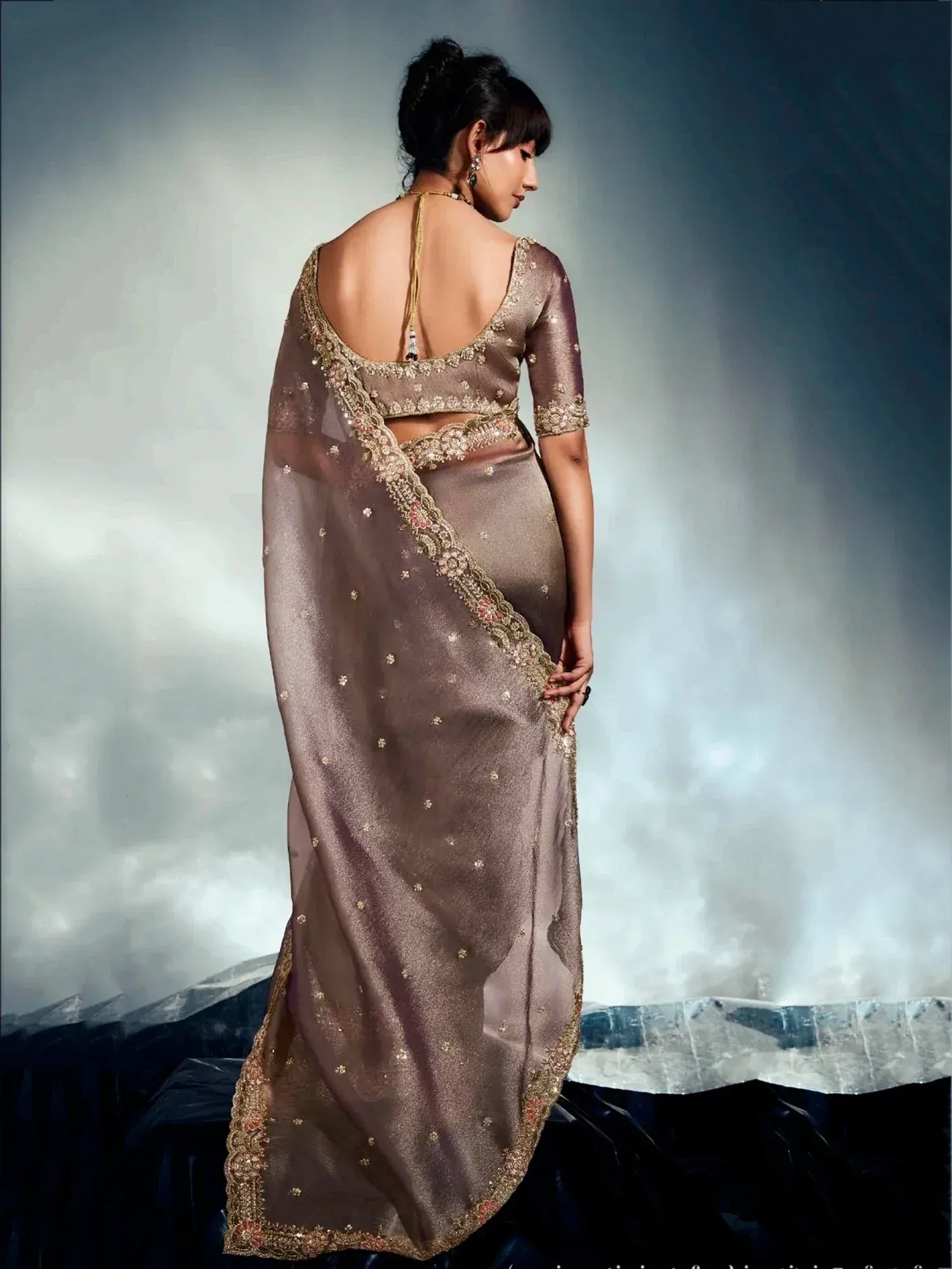 Elegant brown saree with gold embroidery and backless blouse, perfect for Indian ethnic occasions.