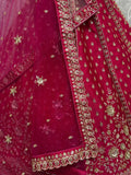 Lovely Pink Embroidered Net Bridal Lehenga Choli With Double Dupatta - Ethnic Plus In
