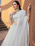 Lovely White Stone Work Organza Wedding Lehenga Choli With Dupatta - Ethnic Plus In
