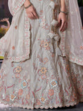 Marvelous Grey Jarkan Work Lehenga Choli With Organza Dupatta - Ethnic Plus In