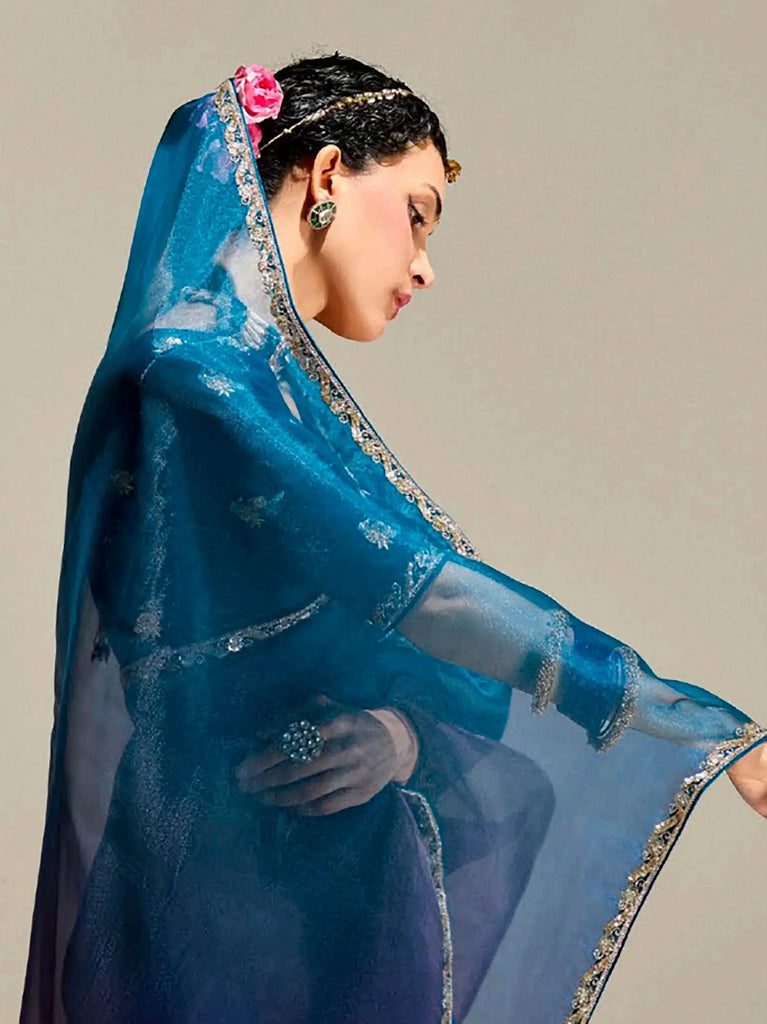 Beautiful Deep Blue Organza Border Work Wedding Wear Saree