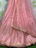 Fabulous Peach Net Embroidered Function Wear Lehenga Choli