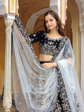 Shocking Navy Blue Embroidered Velvet Function Wear Lehenga Choli - Ethnic Plus In