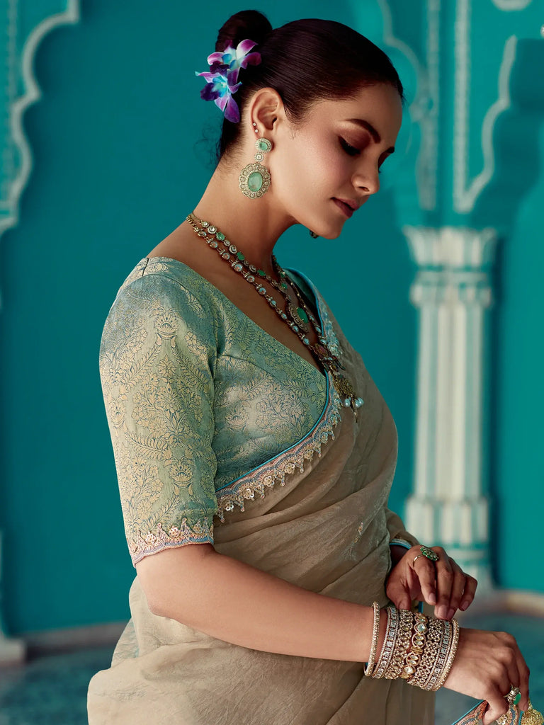 Excellent Beige Border Work Tissue Silk Traditional Saree With Blouse