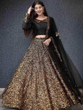 Black Fully Sequins Velvet Party Wear Lehenga Choli
