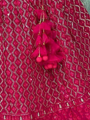 Marvelous Rani Pink Sequins Embroidredy Georgette Wedding Wear Lehenga Choli