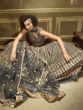 Grey Sequins Work Flaired Net Party Wear Lehenga Choli