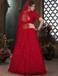Red Thread Embroidered Net Wedding Wear Lehenga Choli
