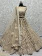 Magnificent Golden Dori Embroidery Net Bridal Wear Lehenga Choli