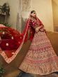 Red Zarkan Pure Velvet Bridal Wear Lehenga Choli With Net Dupatta