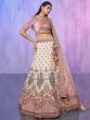 Stunning Off-White Floral Embroidered Georgette Lehenga Choli
