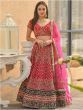Rani Embroidered Velvet Bridal Lehenga Choli With Pink Dupatta