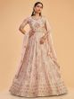 Delicate Dusty Pink Georgette Embroidered Anarkali With Dupatta