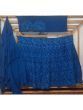 Blue Fully Embroidered Crepe Lehenga With Ruffle Dupatta