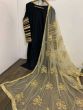 Black Embroidered Rayon Silk Party Wear Straight Cut Suit With Beige Dupatta (Default)