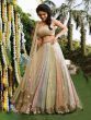 Multi Color Fully Sequence  Party Wear Lehenga Choli 
