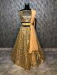 Golden Sequins Net Wedding Lehenga Choli With Dupatta (Default)