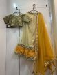 Cream Embroidery Net Festive Wear Lehenga Choli and Mustard Yellow Dupatta (Default)