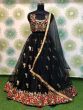 Black Floral Embroidered Net Party Wear Lehenga Choli