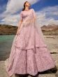 Alluring Pink Sequins Organza Designer Lehenga Choli With Dupatta