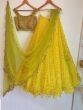 Yellow Net Sequins Embellished Lehenga Choli