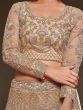 Gorgeous Beige Embroidered Soft Net Occasion Wear Lehenga Choli