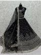 Charming Black Zircon Heavy Embroidered Net Lehenga Choli